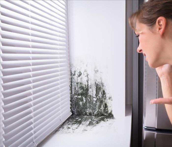 Image of mold growing on the side of a window with a person upset