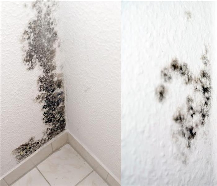 Image of white wall with spots of black mold