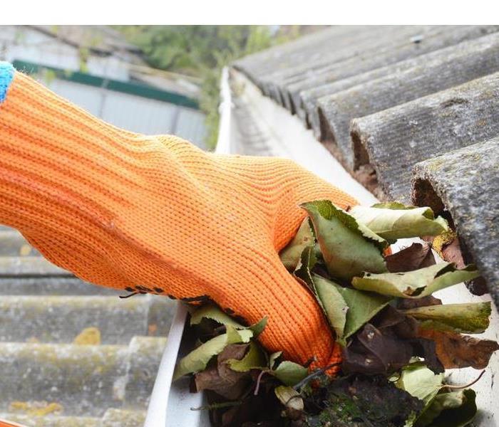 Person removing old leaves from gutters